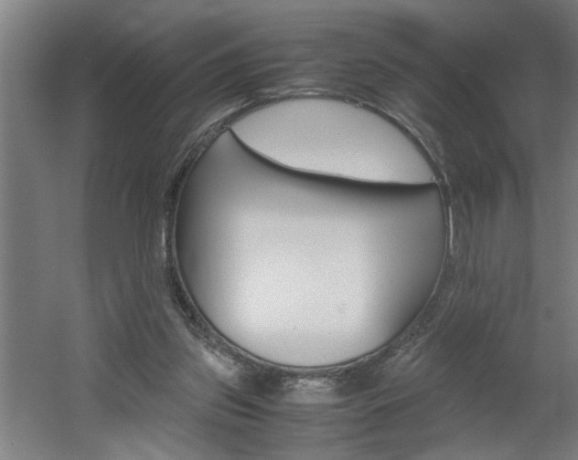 X0000060550157200511030901
