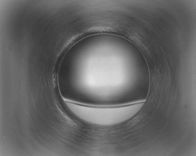 X0000060550160200511030901