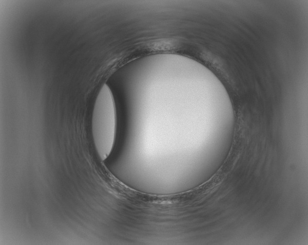 X0000060550161200511030901