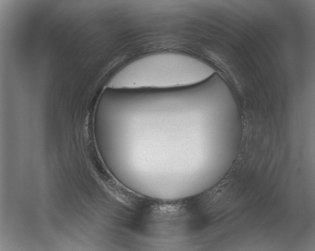 X0000060550163200511030901