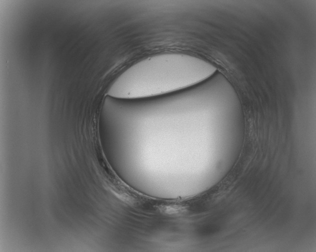 X0000060550165200511030901