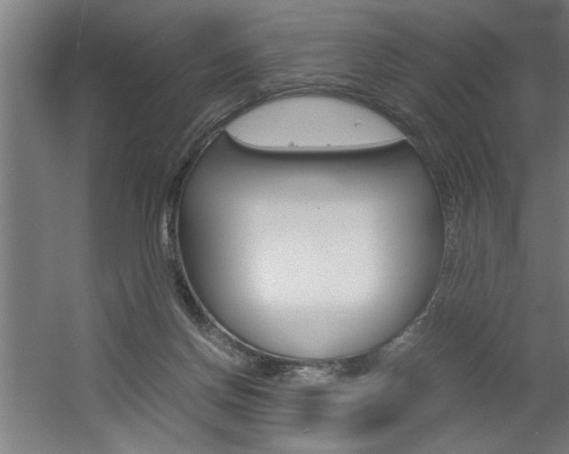 X0000060550166200511030901