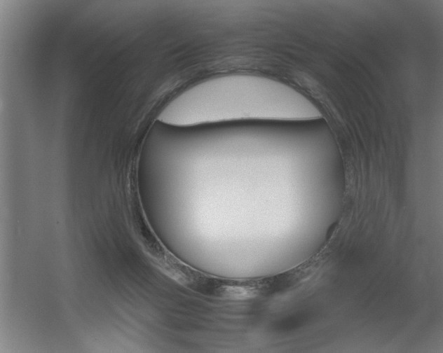 X0000060550167200511030901