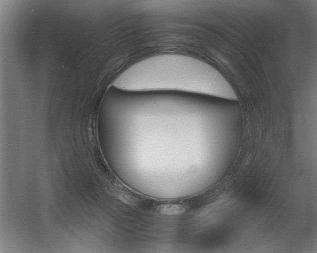 X0000060550169200511030901