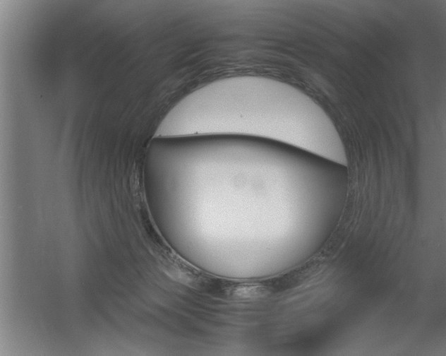 X0000060550173200511030901