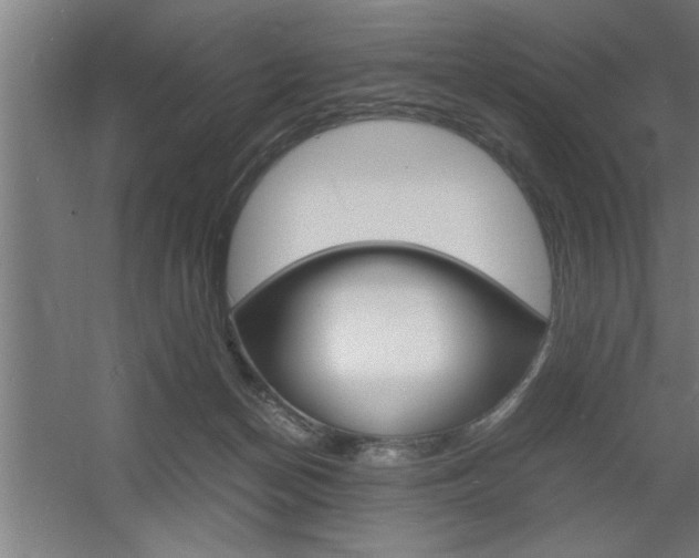 X0000060550174200511030901