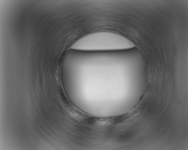 X0000060550175200511030901
