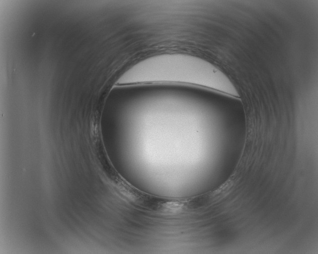 X0000060550176200511030901