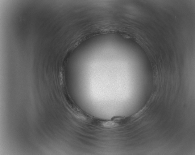 X0000060550183200511030901