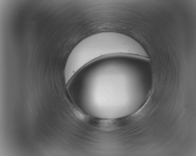 X0000060550192200511030902