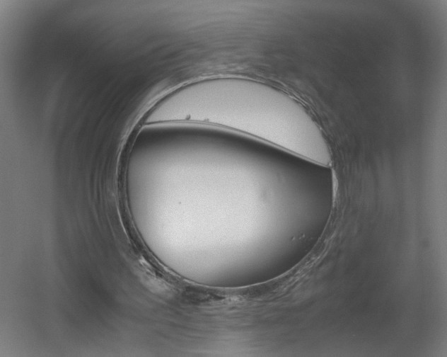 X0000060550195200511030901