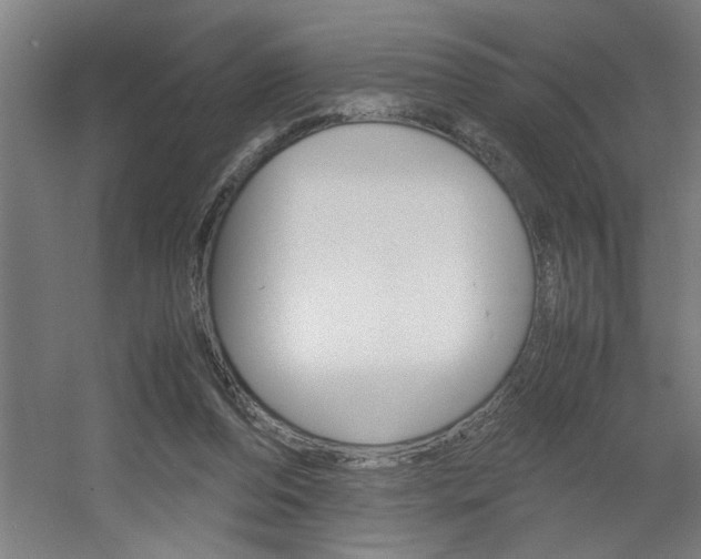 X0000060550208200511030901