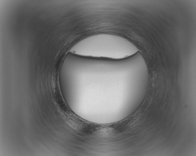X0000060550210200511030900