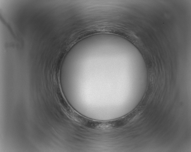 X0000060550213200511030900