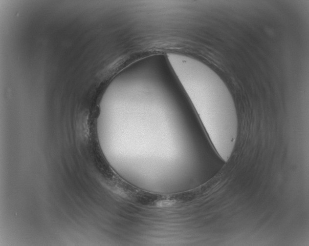 X0000060550216200511030900