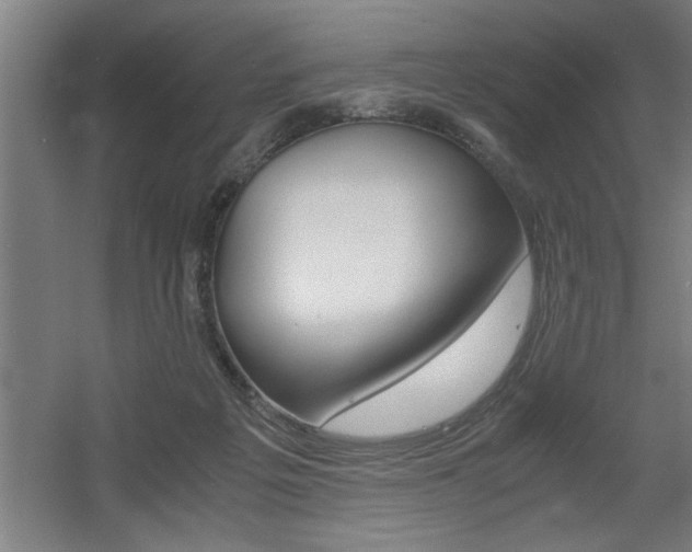 X0000060550217200511030900