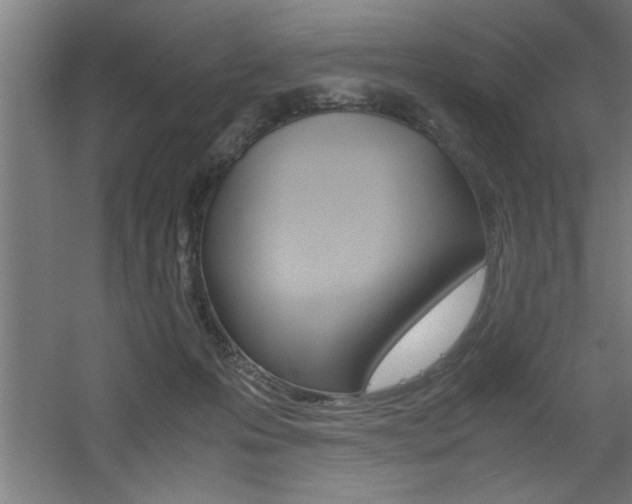 X0000060550223200511030900