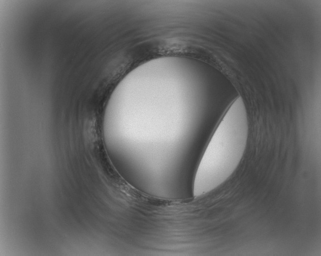 X0000060550224200511030900