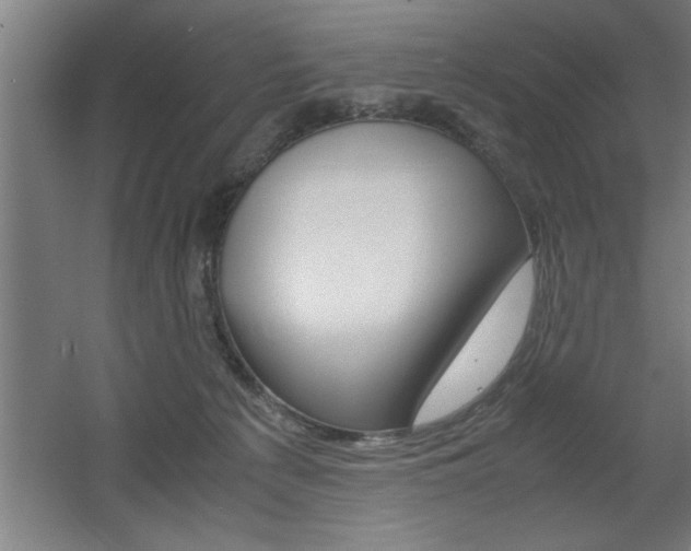 X0000060550225200511030900