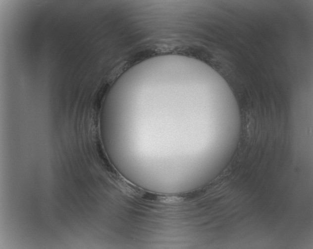 X0000060550226200511030900