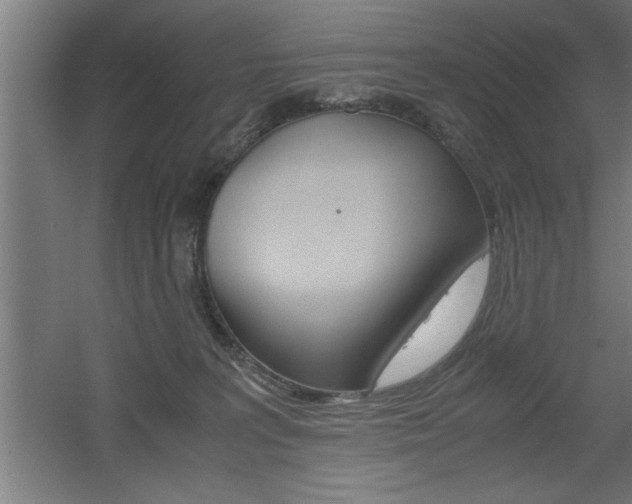 X0000060550227200511030900