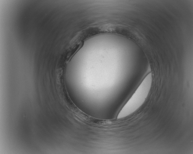 X0000060550229200511030900