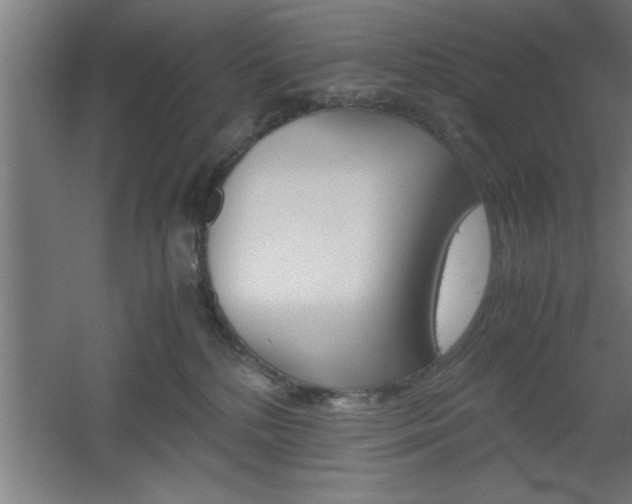 X0000060550232200511030900