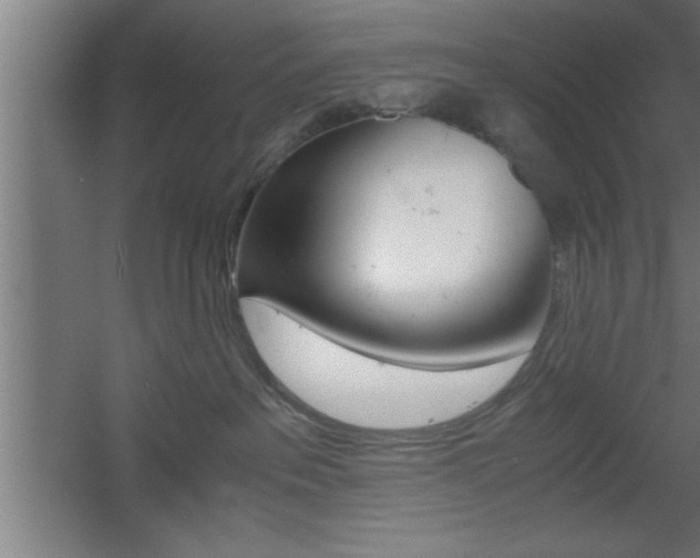 X0000060550237200511030900
