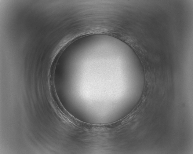 X0000060550242200511030859