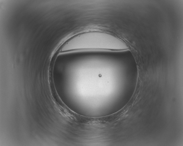 X0000060550244200511030859