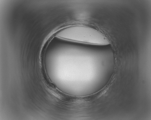 X0000060550246200511030859