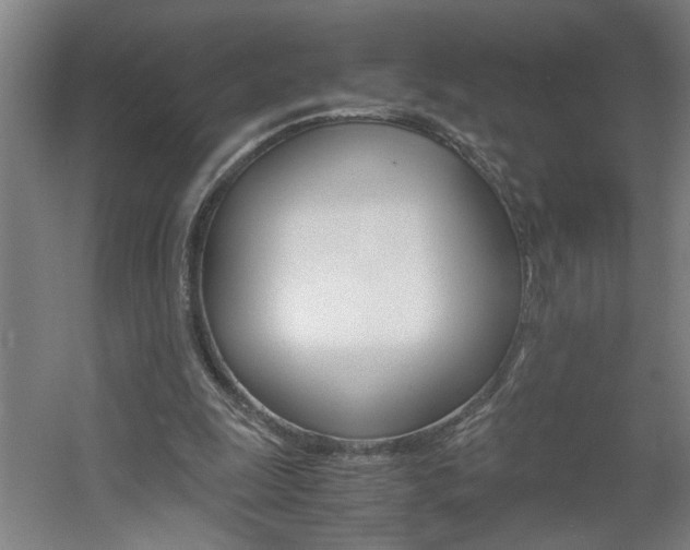 X0000060550247200511030859