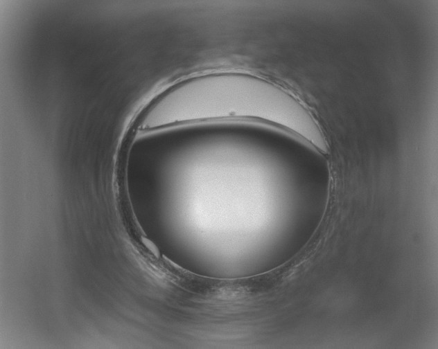 X0000060550248200511030859