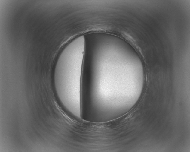 X0000060550249200511030859