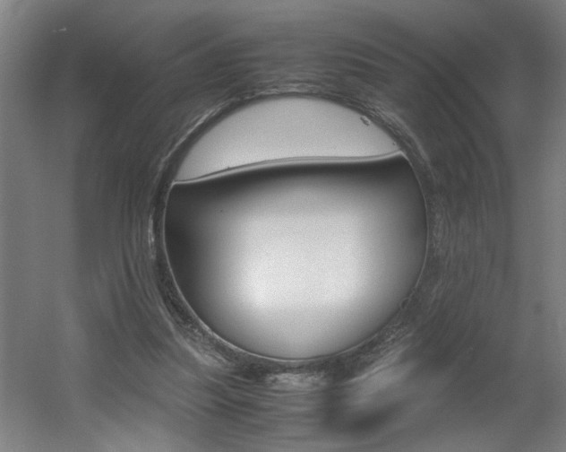X0000060550251200511030859