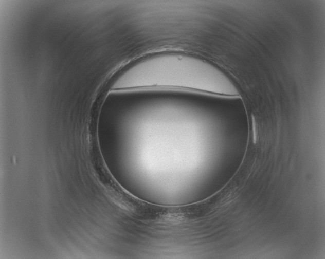 X0000060550252200511030859