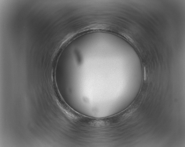 X0000060550253200511030859