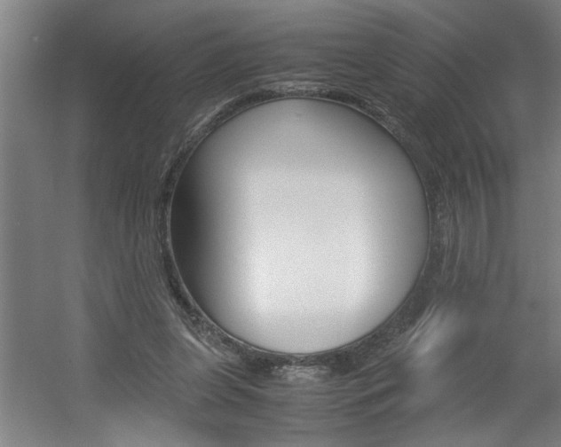 X0000060550255200511030859