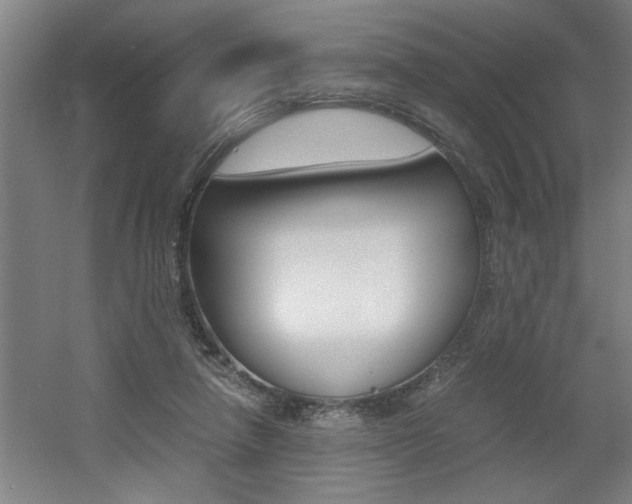 X0000060550258200511030859