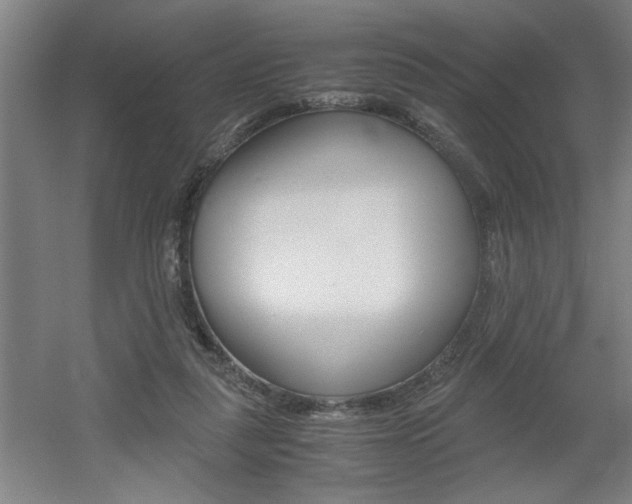 X0000060550259200511030859