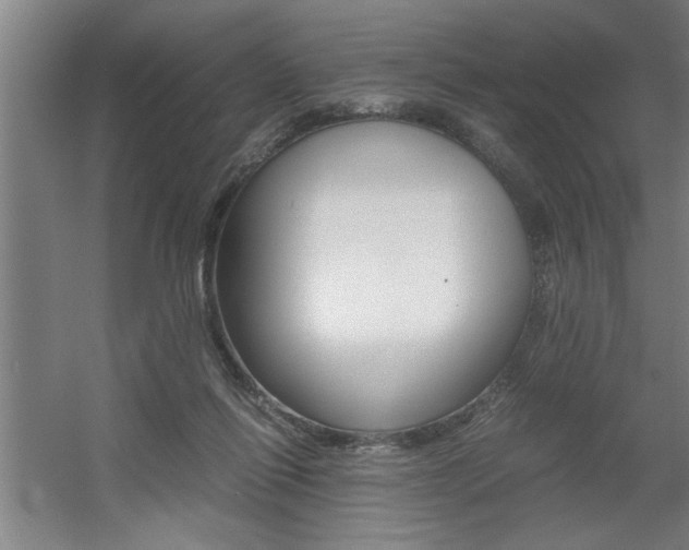 X0000060550262200511030900