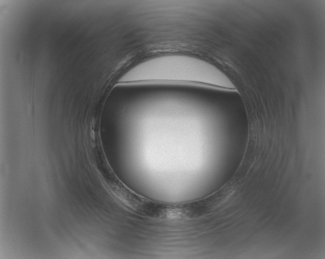 X0000060550264200511030900