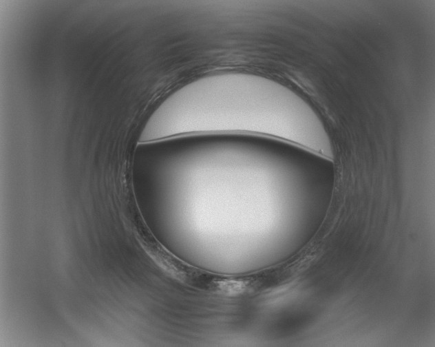 X0000060550265200511030900