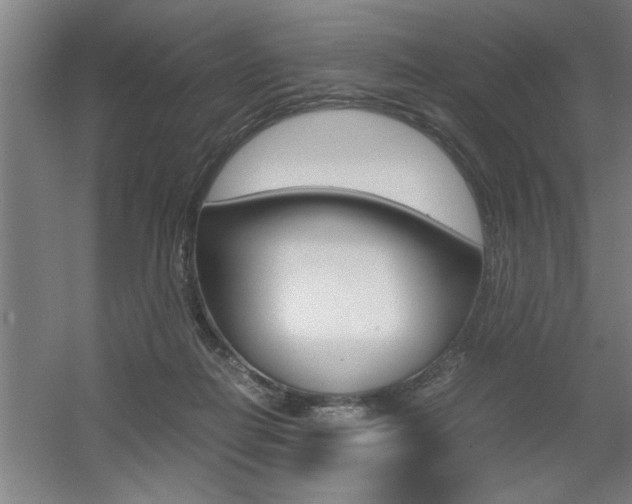 X0000060550266200511030900