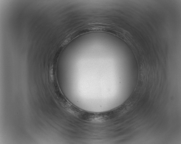 X0000060550267200511030900