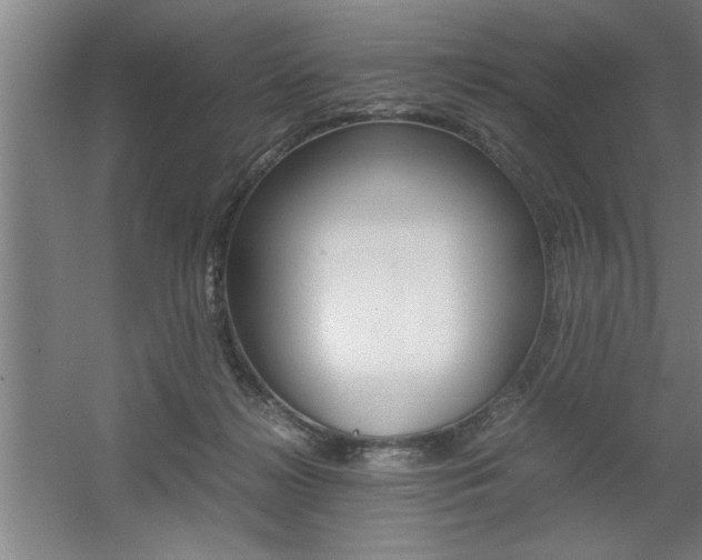 X0000060550268200511030900