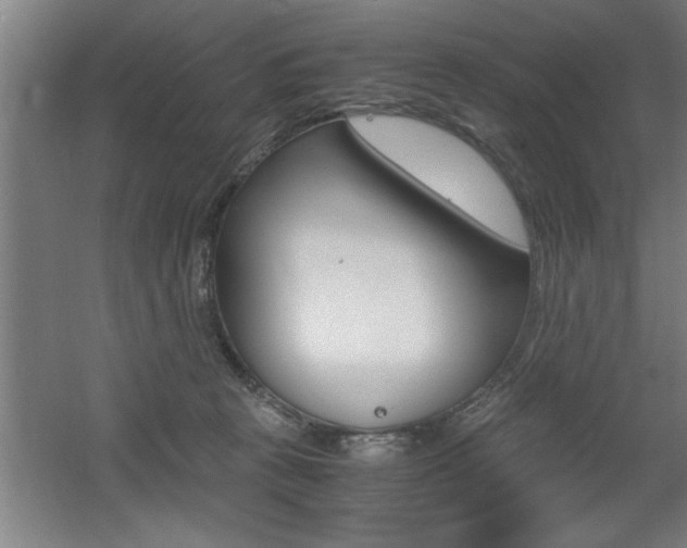 X0000060550273200511030900