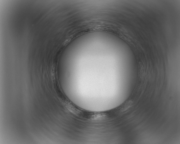 X0000060550274200511030900