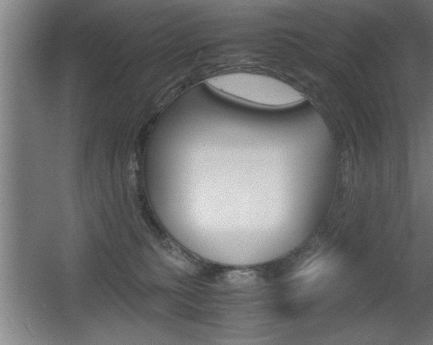 X0000060550279200511030900