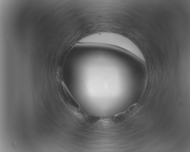 X0000060550280200511030900